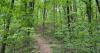 Devil’s Backbone Trail Sounds Scary, But It’s One of the Best Hikes in Tennessee
