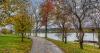 This Walkable City in West Virginia Is a Must-Visit Gem