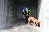 Against organised crime: Police and customs officials carry out drug checks at Mertert port