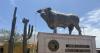 What the U.S. can learn from Mexico as it handles flesh-eating parasite outbreak