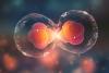 Researchers Finally Solve a Decades-Old Mystery About Cellular Aging
