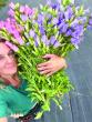 Assateague Farm able to thrive with Buckman