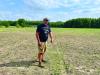 Deer decimating soybean crops