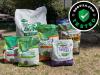 Our Favorite Grass Seed for a Lush Lawn Will Make Your Neighbors Green with Envy