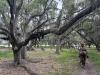 Experience Old Florida: Local attractions evoke pre-Disney Orlando