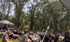 Folk Festival Report