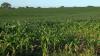 New study ranks Nebraska sixth happiest state to live in