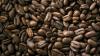 World coffee prices plunge as volatile trading rattles markets