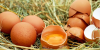 Large Salmonella and Listeria outbreaks hit Sweden in 2025