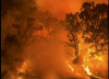 12 killed in Spain wildfire amid Europe heatwave