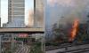 One of Britain's busiest train stations is evacuated and National Rail lines plunged into chaos as huge fire breaks out next to tracks amid record-breaking heatwave