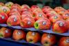 Copefrut and Sinclair strengthen their commitment to sustainable fruit packaging