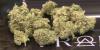 Berrien County health experts urge parents to talk to teens about marijuana use