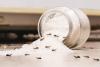 Home Remedies to Keep Ants Away From Sugar Jars