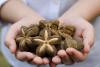 The star-shaped superfood you’ve never heard of — it’s packed with protein and omega-3s