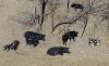 Arkansas Plant Board will consider warfarin bait as weapon against feral hogs