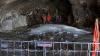 Baba Barfani ice lingam melts over 90% just days into Amarnath Yatra: ‘Climate change is reason’