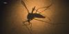 Health department reports travel-related dengue case in Oahu resident