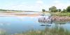 Low snowpack from Wyoming, Montana lead to low water levels on the Missouri River