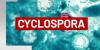 Cyclospora parasite cases continue to rise in West Virginia