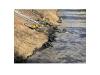 Settlement Agreement Made with EPA and DOJ for 2022 Oil Spill in Washington County