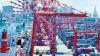 Global Shipping Giants Circle Sri Lankan Ports as Investment Race Intensifies