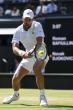 Novak Djokovic vows to return after Wimbledon exit, says 'I would like to, at least one more time'