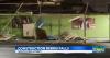 Fallen guardrail onto S. King Street prompts safety concerns near Straub construction