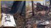 Bahamas Plane Crash Horror: 10 killed after Flamingo Air aircraft crashes in North Andros, disturbing video reveals chilling aftermath
