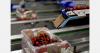 "Chilean cherry exports to markets outside China have increased by 27%"