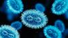 'Traveler’s diarrhea' cases soaring in the US