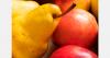 Spanish apples and pears found their most profitable markets in the Netherlands and Italy