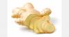 An Argentine company begins selling ginger seed rhizomes free of fusarium wilt for the 2026 season