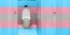 Map showing trans-friendly bathrooms launched after restrictive Idaho law