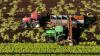 Canada has lost millions of hectares of farmland. Where is it all going?