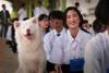 Thai Canine Movie “Gohan” Leans on Tearjerking and Melodrama