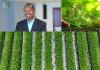 Ethiopia’s Green Legacy Initiative Sets Global Example for Inclusive Climate Action: Scientist
