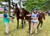 The Mares Behind The JRHA Sale: 10 Europeans Who Are Now Big In Japan