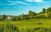 Q&A: What Do Farmers Have to Say About Climate Change?