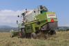 Grain harvesting begins in Khojaly and Aghdara after 34 years - PHOTO
