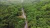 Environment Authority warns against chasing, filming wildlife in Dhofar