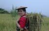 Bhutanese entrepreneur wins Bayer Foundation Award