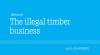 The illegal timber business