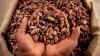 COCOA GOLD RUSH! World’s No.2 Producer Eyes UAE, Saudi Billion-Dollar Market