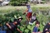 Hawaii students launch effort to connect conservation and policymaking