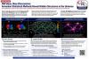 Old Ideas, New Discoveries: Armenian Statistical Methods Find New Applications in Astronomy and Cosmology