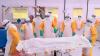 DR Congo Ebola outbreak becomes ‘fastest-growing ever’; death toll tops 600