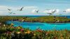 Mauritius spent more than 40 years removing invasive rats, cats and goats from its offshore islands, helping endangered seabirds return after decades