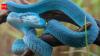 The deadliest snakebite hotspots around the world where travellers should think twice before visiting