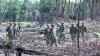 Army Reclaims 4,300 Hectares of Encroached Forest Land in Kampong Thom